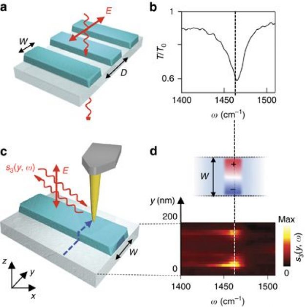 Boron nitride nanoresonators for phononenhanced molecular… Blog • by