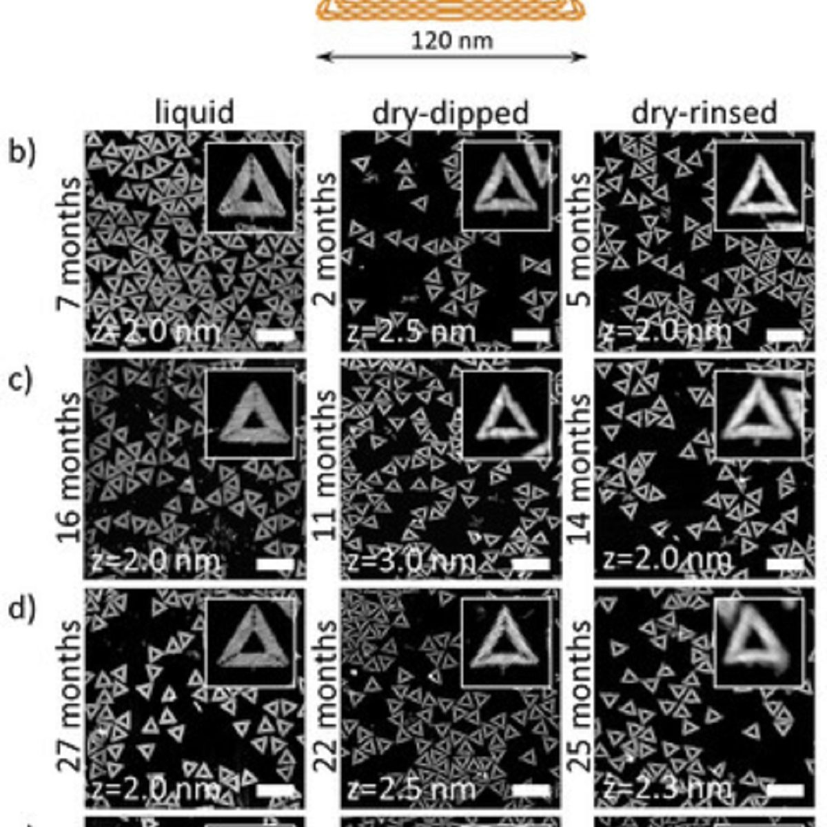 dna origami nanostructure assembly