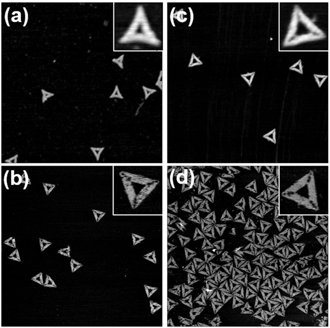 Figure 2 from “Cryopreservation of DNA Origami Nanostructures” by Yang Xin et al.:

AFM images of triangular DNA origami nanostructures after 32 freeze–thaw cycles measured a) in air and b) in liquid. AFM images of triangular DNA origami nanostructures assembled from scaffold and staple strands that were subjected to 32 freeze–thaw cycles measured c) in air and d) in liquid. Images have a size of 1.5 × 1.5 μm2 and height scales are 2.3 nm.
