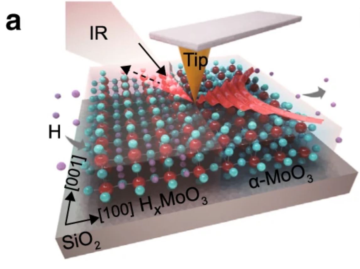 Fig. 2 a) from “Chemical switching of low-loss phonon polaritons in α-MoO3 by hydrogen intercalation” by Yingjie Wu et al. :
Reversible switching of PhPs in the L-RB of α-MoO3 a Schematic of the s-SNOM measurement and PhP propagation in a typical H-MoO3/α-MoO3 in-plane heterostructure.
2 a Schematic of the s-SNOM measurement and PhP propagation in a typical H-MoO3/α-MoO3 in-plane heterostructure. P