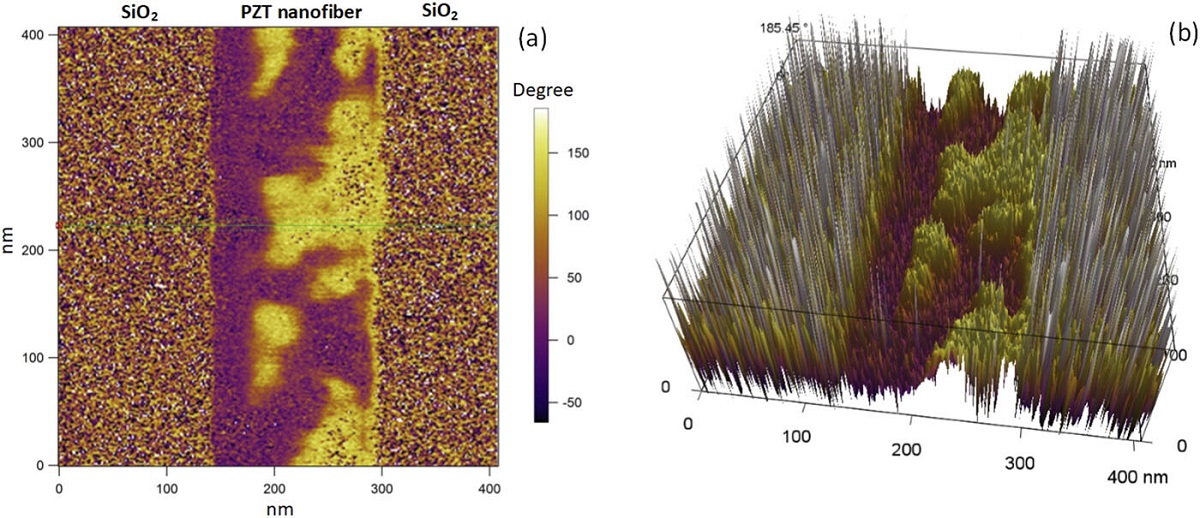 Atomic force microscopy (AFM) and piezoresponse force m