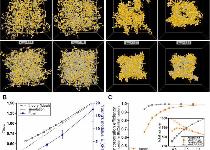Unravelling the Molecular Network Structure of Biohybrid Hydrogels
