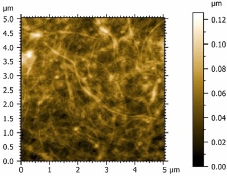 Figure 1Fig. 1. AFM height image of MFC from PO-derived cellulose.