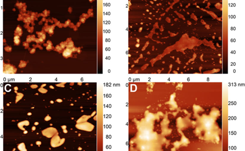 Plant-Growth Synchronized, Acid Phosphatase-Responsive Lignin-Based Controlled Release Phosphorus Nanofertilizers