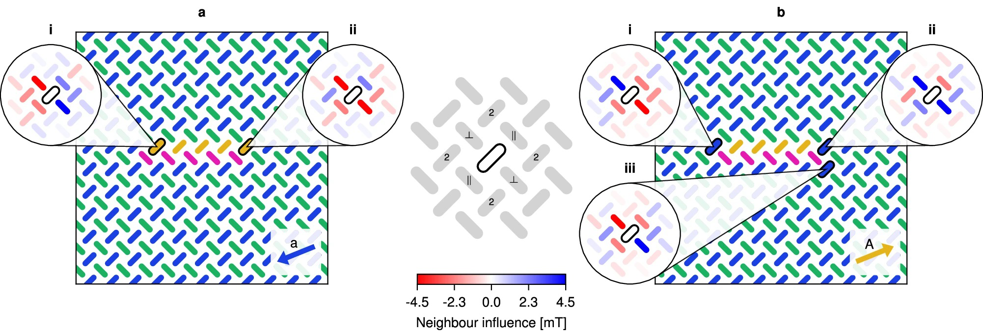 Fig. 5: Analysis of neighbour influence in the snake.
